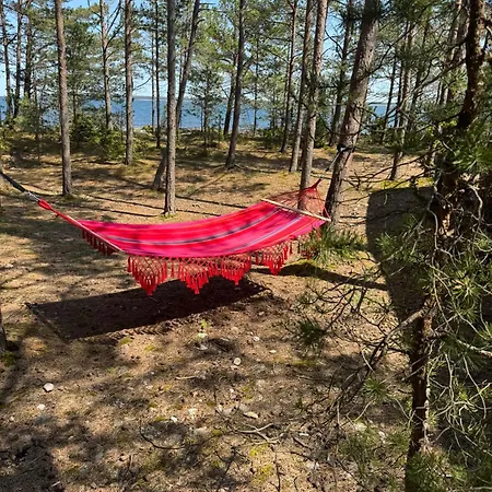 Ninase Puhkemajad Camping Tagaranna