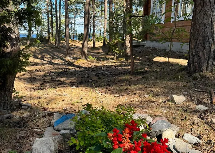 Campsite Ninase Puhkemajad *